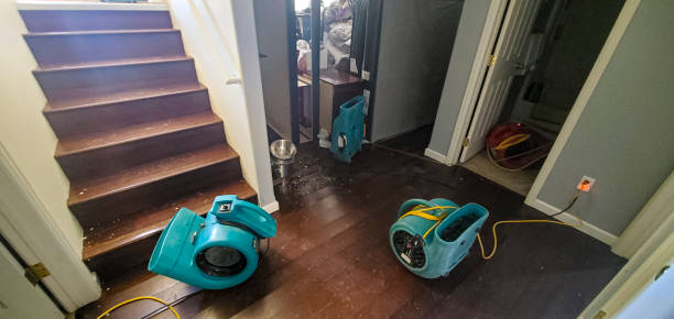 Best Water damage cleanup near me  in Mason, OH